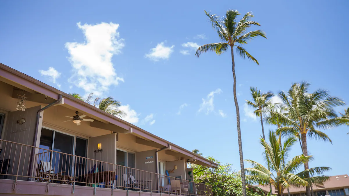 A palm tree and some chairs on the porch of a house.