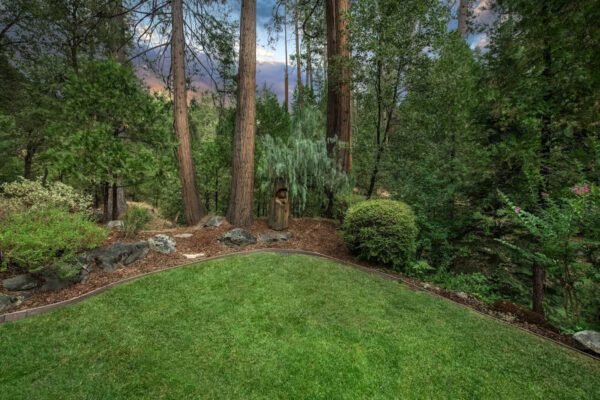 A backyard with trees and grass in the middle of it.