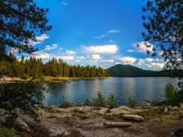 A lake with trees and mountains in the background.