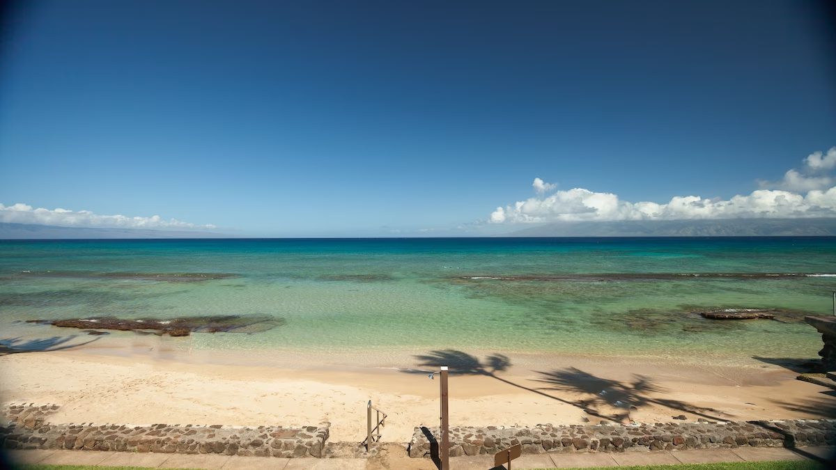 A beach with palm trees and blue water