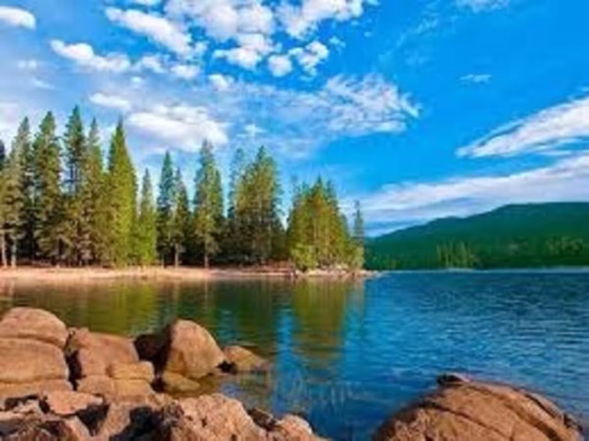 A body of water with trees in the background