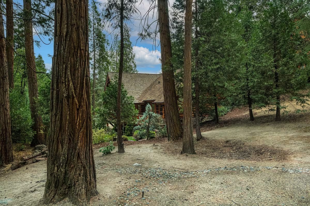 A house in the woods with trees and bushes