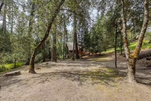 A small cabin in the woods with trees