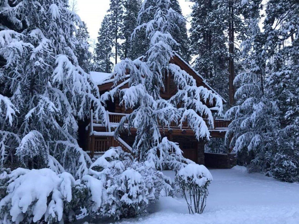 A house with snow on the ground and trees