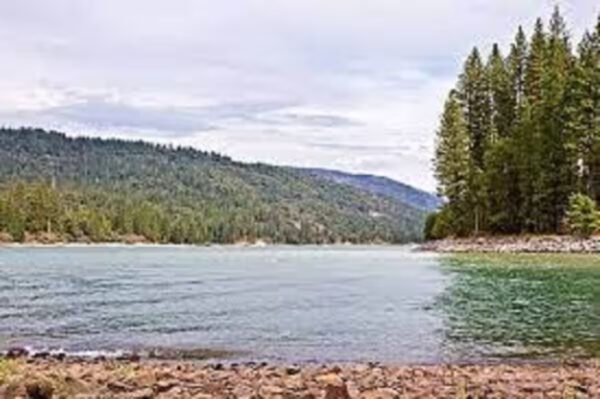 A body of water with trees in the background