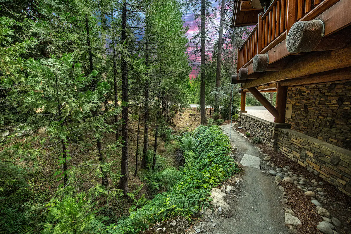 A house with a lot of trees in the background