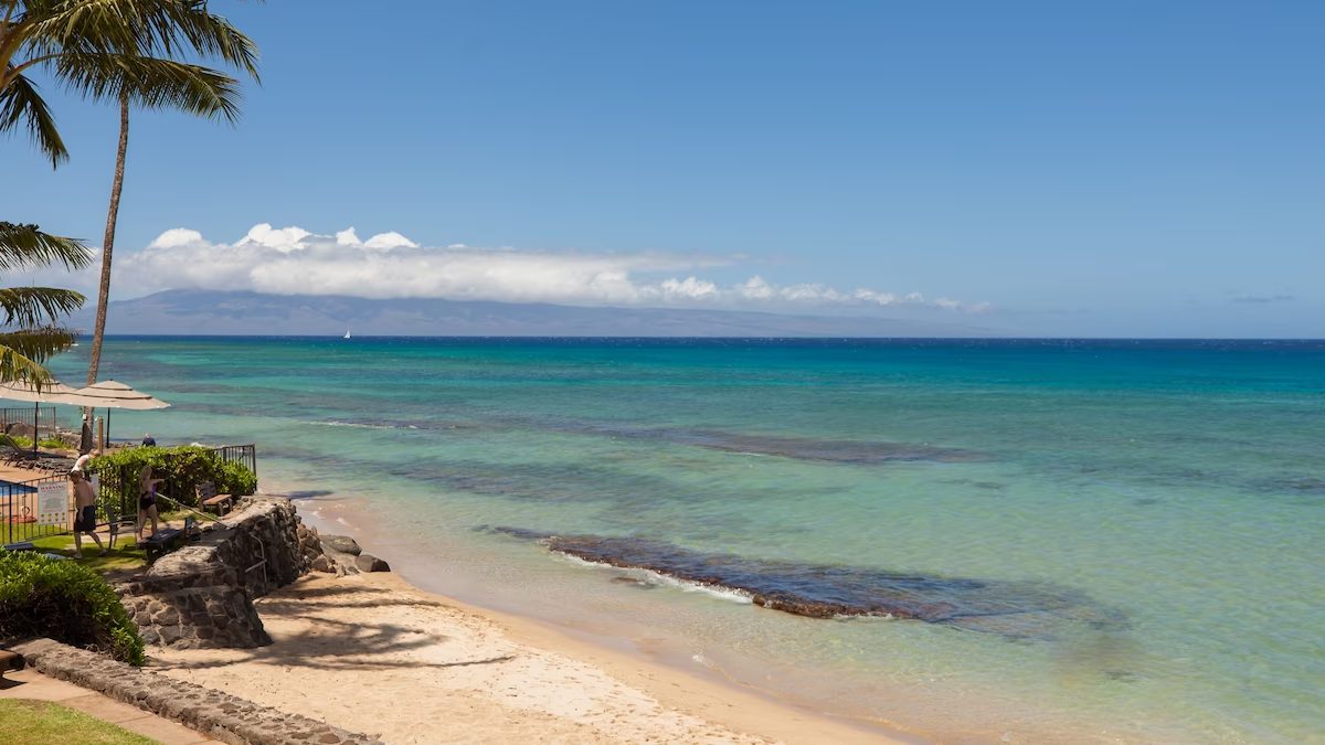 A beach with chairs and umbrellas on it