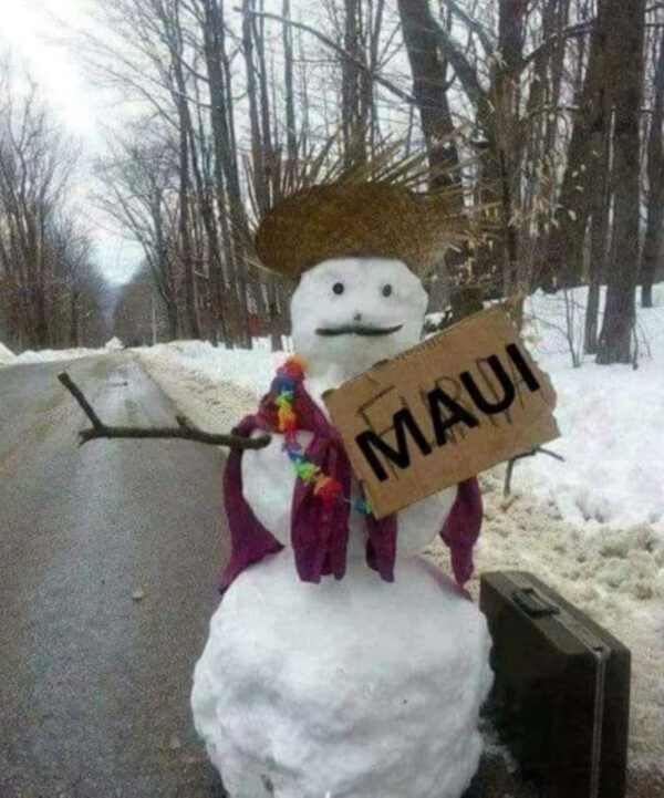 A snowman with a sign in the snow.