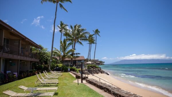 A beach with palm trees and lawn chairs.