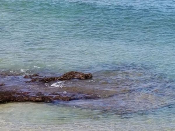 A body of water with rocks in the middle.