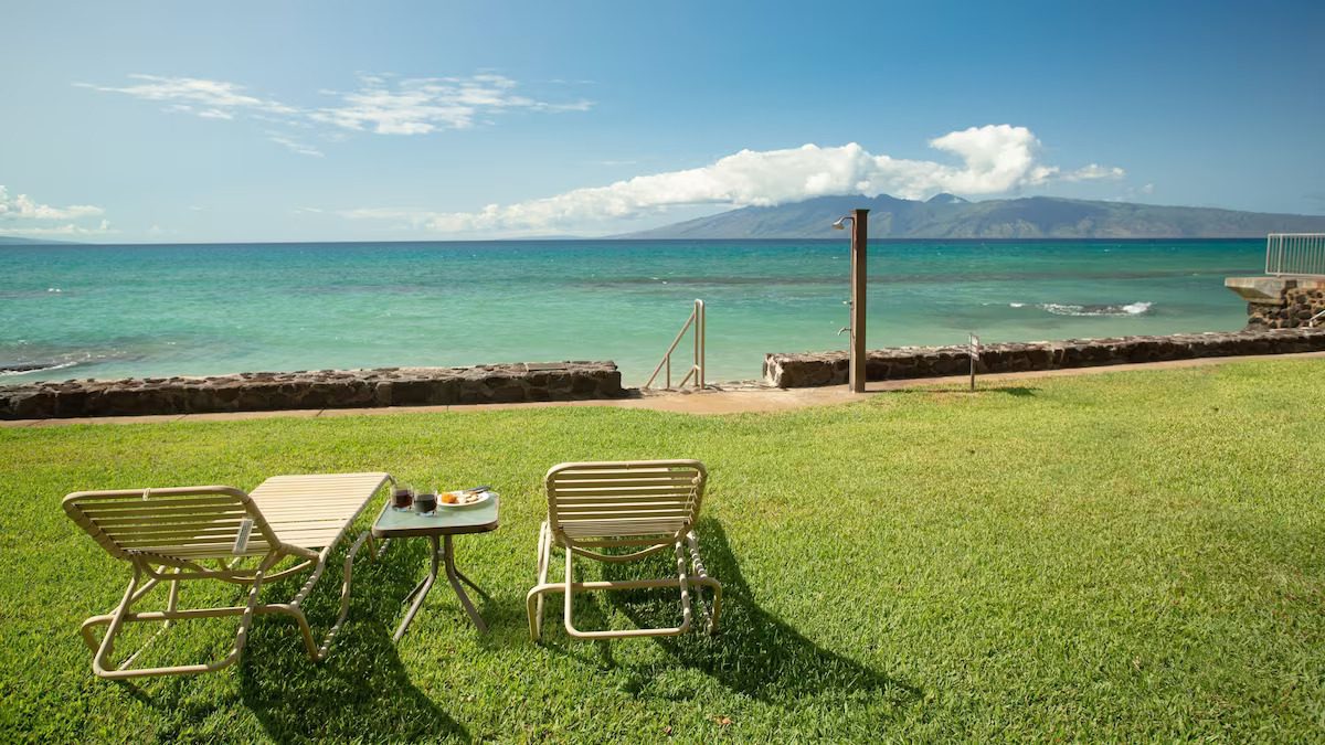 A lawn with two chairs and an umbrella table