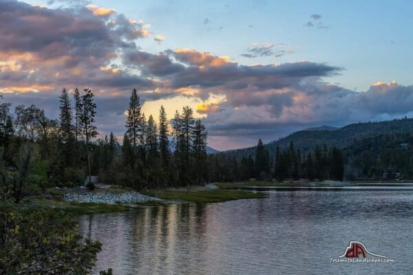 A body of water with trees in the background