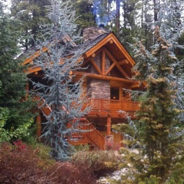 A log cabin in the woods with trees around it.