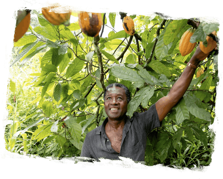 A man standing in front of a tree with many fruits.